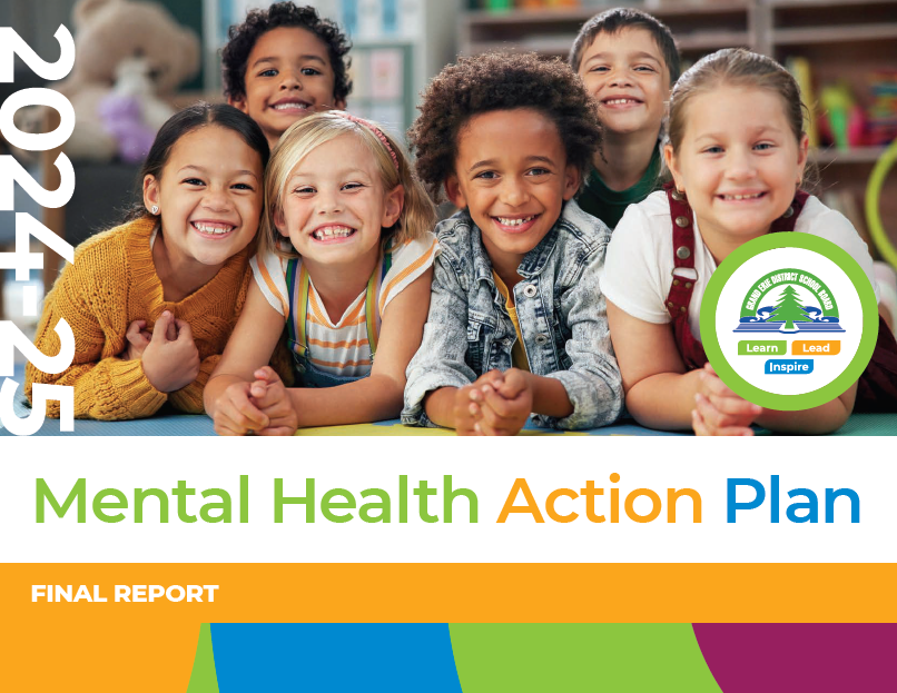 Mental Health Action Plan - Final Report 2024-25