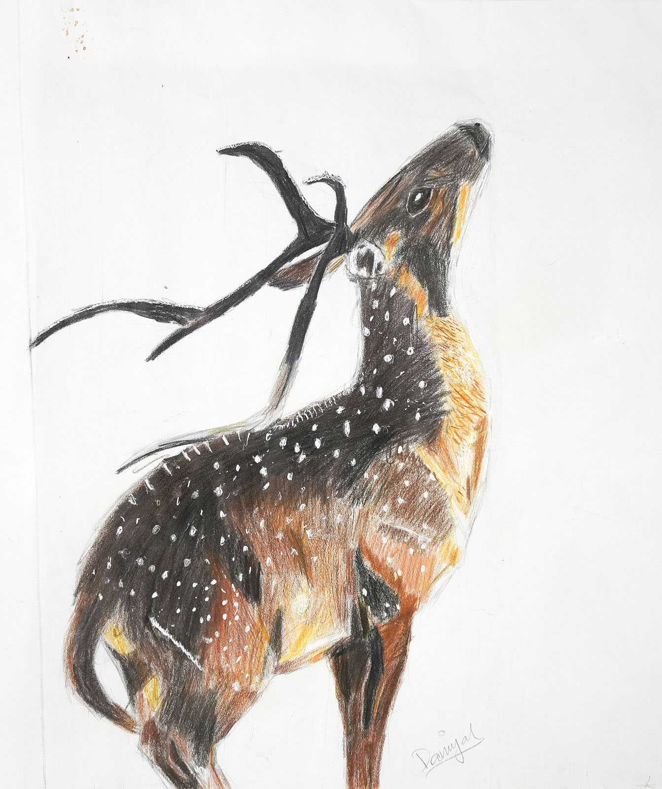 Danyal Talal's Art