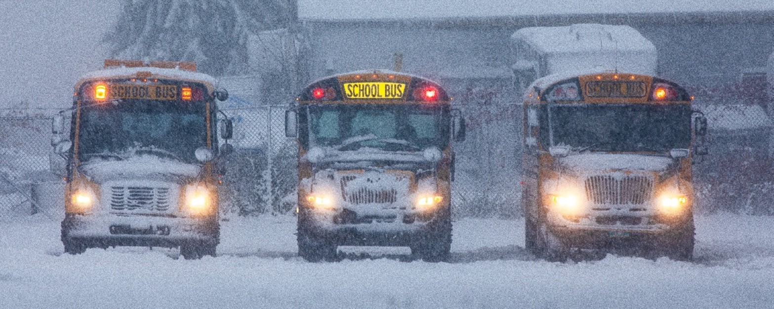 Front of three school busses in snow Front of three school busses in snow